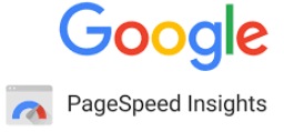 Google Page Speed Insight