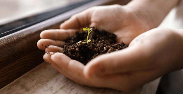 Narodziny Strategii CSR